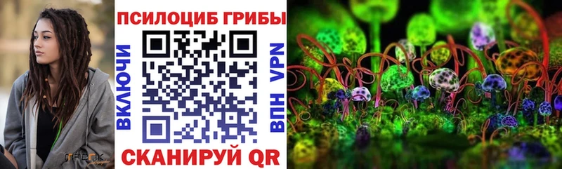 как найти наркотики  кракен рабочий сайт  shop какой сайт  Венёв  Галлюциногенные грибы Magic Shrooms 